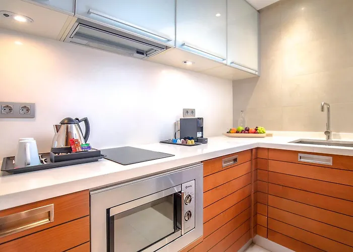 瓦伦西亚美利亚酒店 酒店 4*