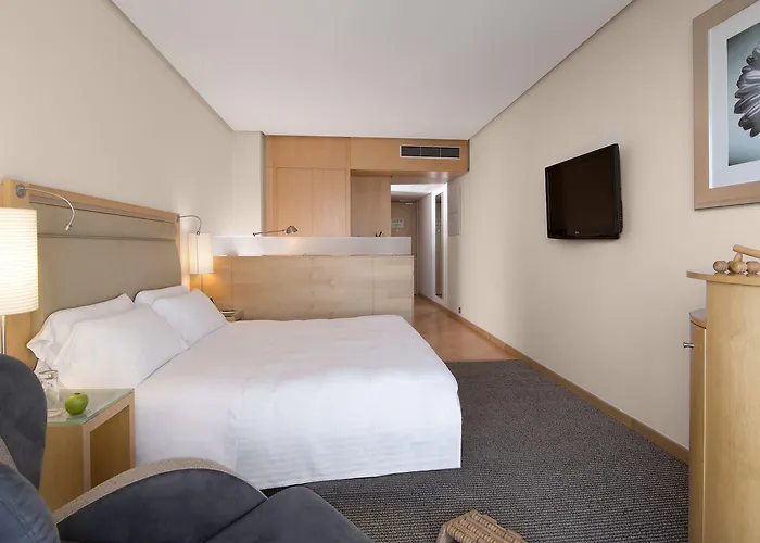 瓦伦西亚美利亚酒店