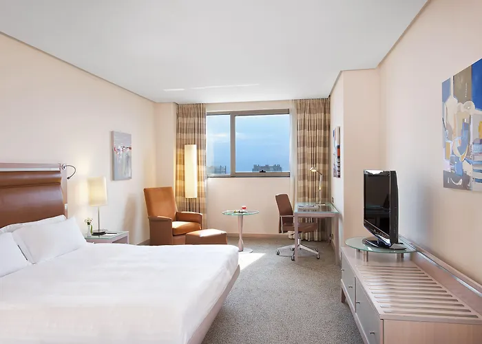 瓦伦西亚美利亚酒店 酒店 4*